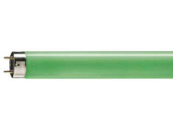 Philips T8 18W/Grün G13